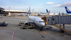 a plane at an airport