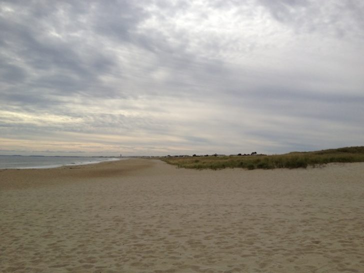 Seabrook Dunes