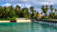 a dock over a body of water with palm trees