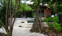 a tree next to a pool