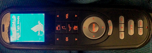 singapore-business-ife-remote