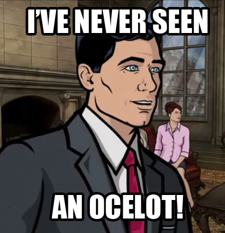 Archer (ocelot)