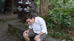 a man sitting on a stone ledge with a monkey on his head