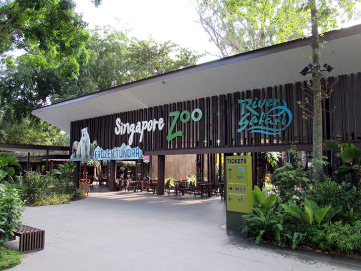 Singapore Zoo 1