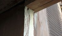 a white foam on a wall
