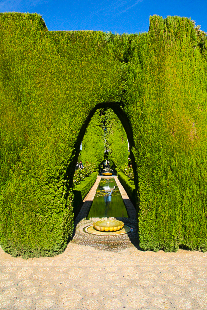 granada-alhambra-hedge