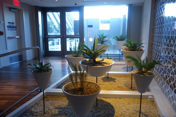 Star Alliance Business/Gold Lounge - plant features near outdoor terrace
