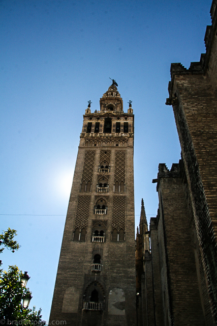 sevilla-cathedral-tower