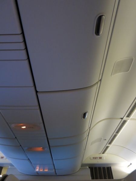 Overhead bins above the center seats