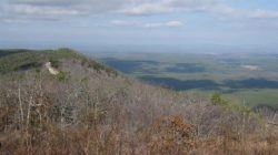 Valley Overlook w/ winding road