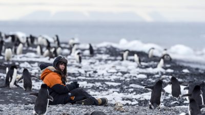 a woman sitting on a rocky beach with penguins