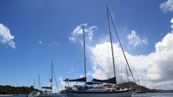 a group of sailboats in the water