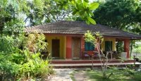 a house with a porch and trees
