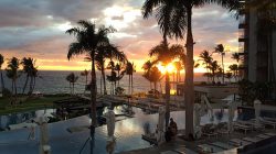 a pool with palm trees and a beach and a sunset