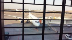 Reivew: Japan Airlines Business Class Narita to San Diego