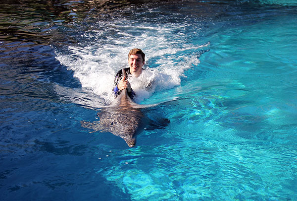 MIRAGE DOLPHIN INTERACTION 09 06 2014 - 035