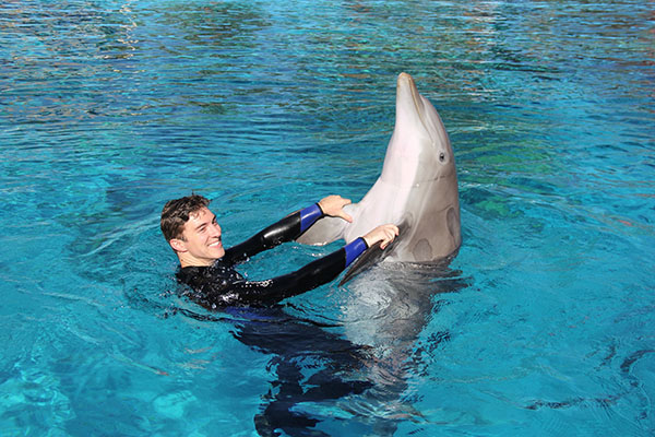 MIRAGE DOLPHIN INTERACTION 09 06 2014 - 089