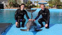 two men in wet suits with a dolphin in the water