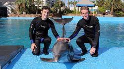 two men in wet suits with a dolphin in the water