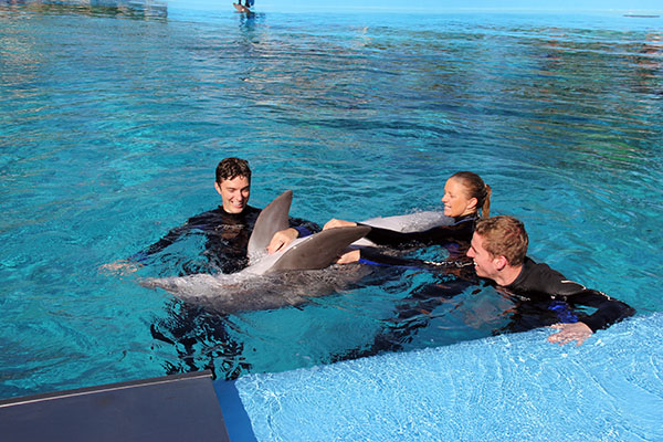 MIRAGE DOLPHIN INTERACTION 09 06 2014 - 105