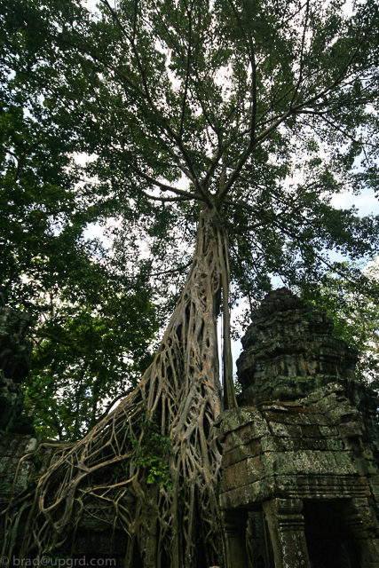 angkor-th-prohm