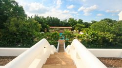 a stairs leading to a pool