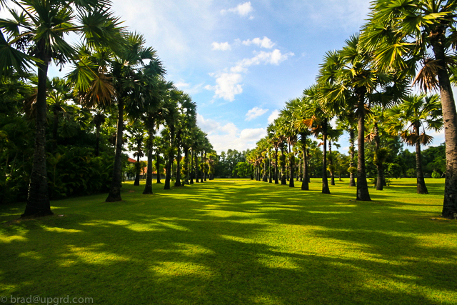 lemeridien-siem-reap-trees