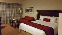 a room with a bed and a couch