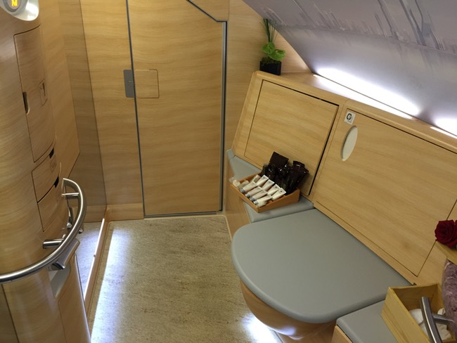 a bathroom with a toilet seat and a sink