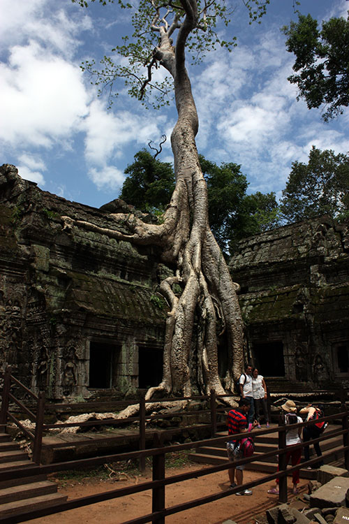 Angkor Wat 38