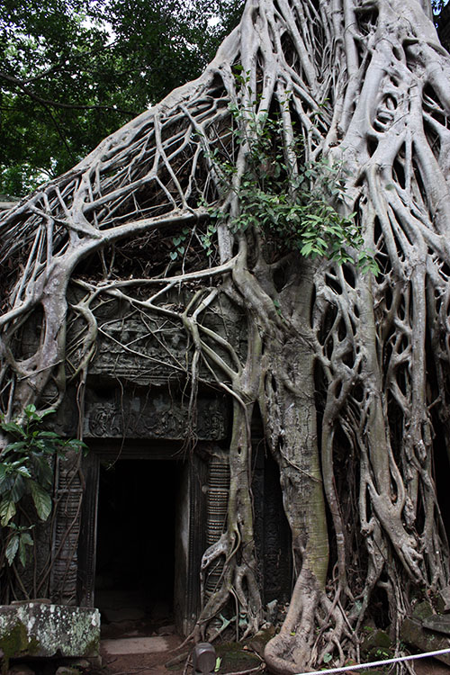Angkor Wat 40