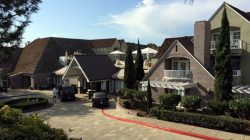 a group of houses with trees and bushes