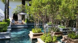 a pool with trees and chairs