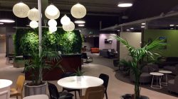 a room with tables and chairs and plants