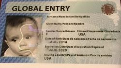 a close up of a passport