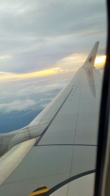Malaysia Airlines B737 wing
