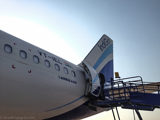 india-travel-and-food-indigo-tail