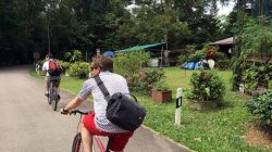a man riding a bicycle on a path with other people