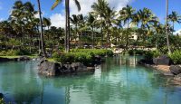 a body of water with palm trees and a pool