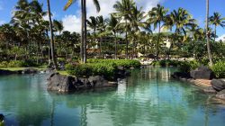 a body of water with palm trees and a pool