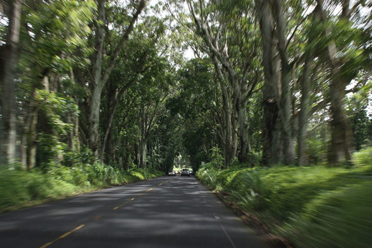 Grand Hyatt Kauai 44