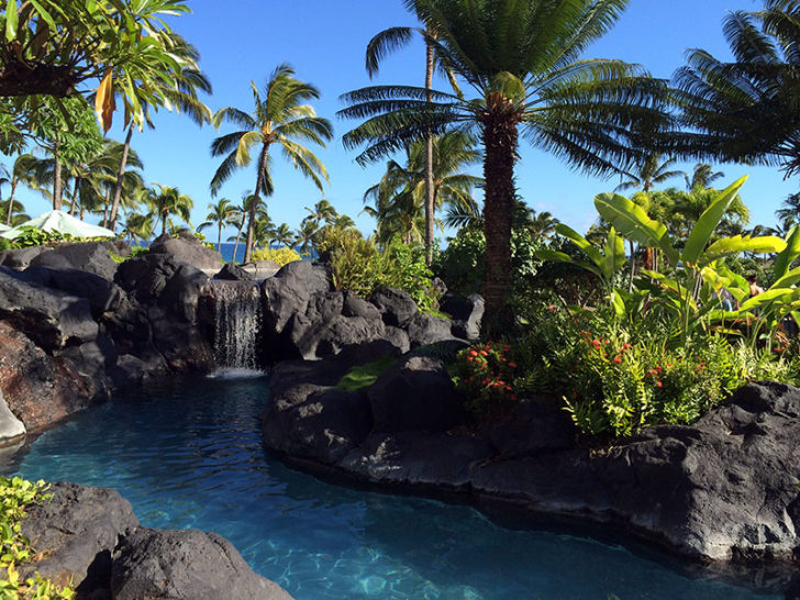 Grand Hyatt Kauai 46