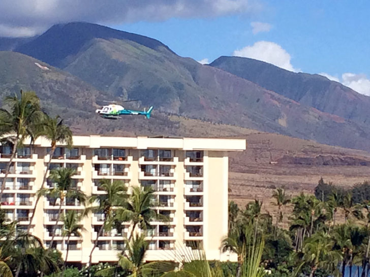 Hyatt Regency Maui 15