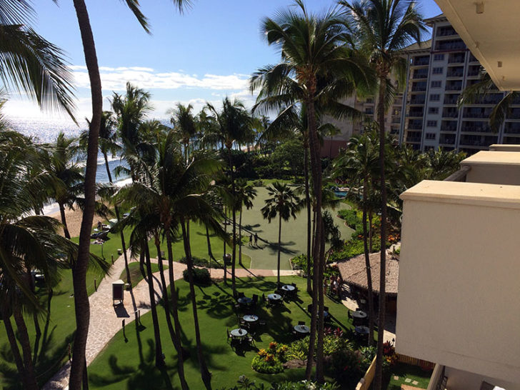 Hyatt Regency Maui 7