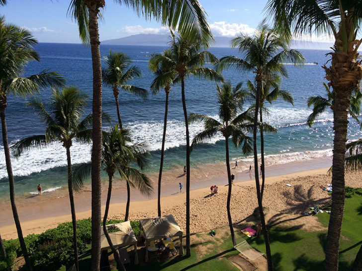 Hyatt Regency Maui 8