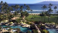 a pool with palm trees and a beach