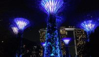 a group of trees with blue lights