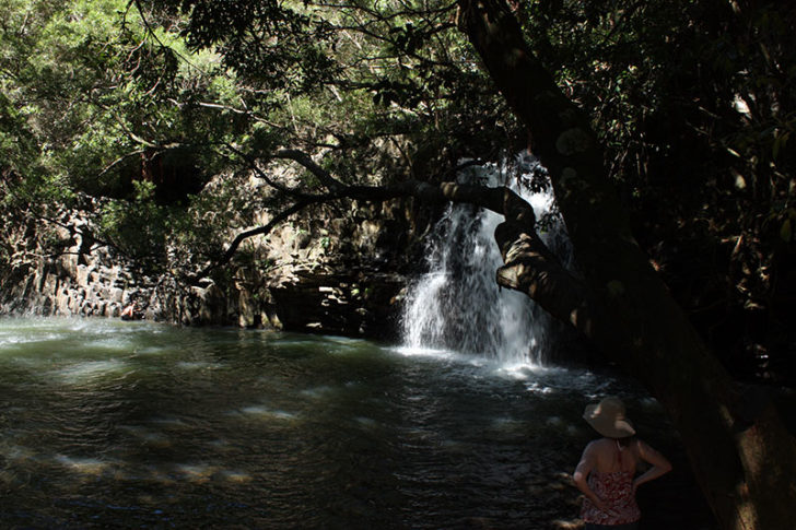 Road to Hana 11