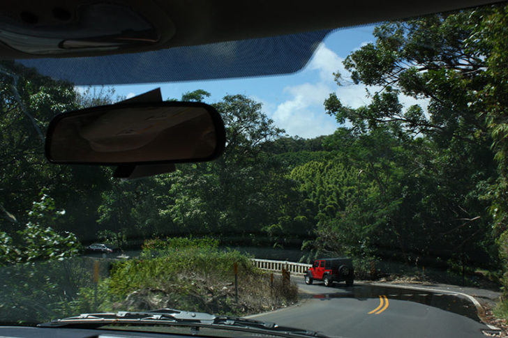 Road to Hana 17