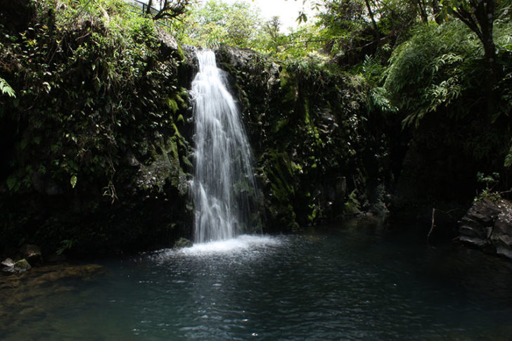 Road to Hana 18